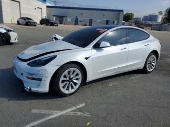 2023 Tesla Model 3 5YJ3E1EA3PF552657 Lot 53589846