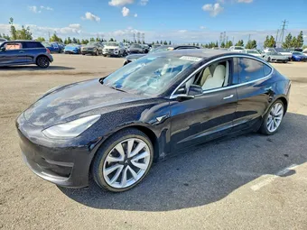 2020 Tesla Model 3 5YJ3E1EA2LF744095 Lot 55349506
