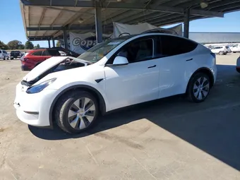 2023 Tesla Model Y 7SAYGDEE3PF742918 Lot 59905486