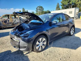 2024 Tesla Model Y 7SAYGDEE6RF081694 Lot 85448535