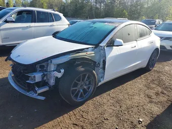 2023 Tesla Model 3 LRW3E1EB3PC843694 Lot 53548686