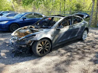 2020 Tesla Model 3 5YJ3E1EA7LF703946 Lot 54107836