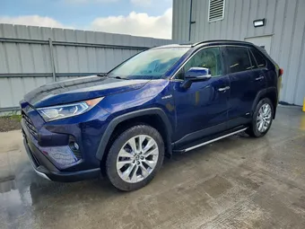2019 Toyota RAV4 2T3DWRFV1KW006301 Lot 57462096
