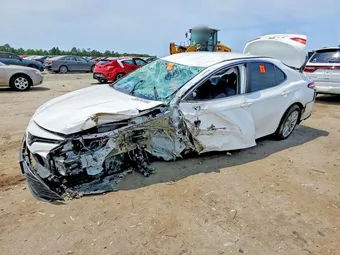 2019 Toyota Camry 4T1B11HK9KU849312 Lot 56614166