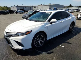 2020 Toyota Camry 4T1J31AK1LU532898 Lot 56543276