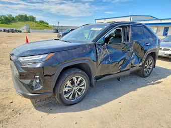 2025 Toyota RAV4 2T3D6RFV3SW085356 Lot 55987856