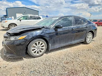 2019 Toyota Camry 4T1B11HK1KU252705 Lot 59828866