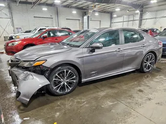 2019 Toyota Camry 4T1B11HK0KU702506 Lot 51991106