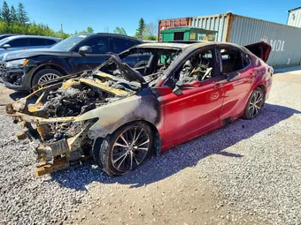 2019 Toyota Camry 4T1B11HK5KU239911 Lot 55520716