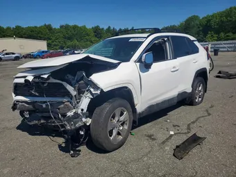 2025 Toyota RAV4 2T3P1RFV6SC505219 Lot 55600896