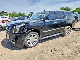 2015 Cadillac Escalade 1GYS4MKJ9FR613453