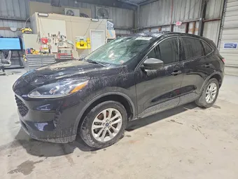 2020 Ford Escape 1FMCU0F61LUC50630 Lot 57941906