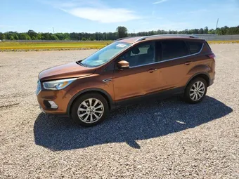 2017 Ford Escape 1FMCU0JD2HUF05282 Lot 52421966
