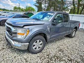 2021 Ford F-150 1FTEX1CB9MFB29782 Lot 53530456