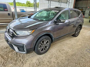 2020 Honda CR-V 2HKRW2H84LH684795 Lot 60682146