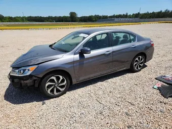 2016 Honda Accord 1HGCR2F81GA244726 Lot 51350906