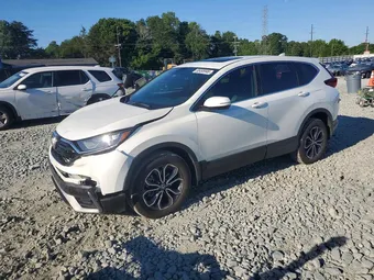 2020 Honda CR-V 5J6RW2H84LL010717 Lot 55495946