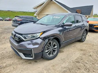 2020 Honda CR-V 5J6RW2H80LA016316 Lot 59811826