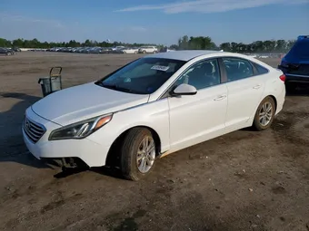 2015 Hyundai Sonata 5NPE24AF9FH059036 Lot 51098456