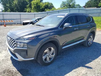 2023 Hyundai Santa Fe 5NMS3DAJXPH552212 Lot 54785056