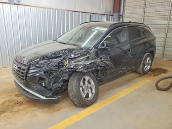 2024 Hyundai Tucson 5NMJBCDE5RH342014 Lot 50731636
