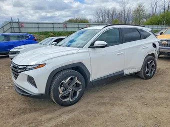 2023 Hyundai Tucson 5NMJFCAEXPH246224 Lot 49854286