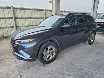 2023 Hyundai Tucson 5NMJB3AE0PH193108 Lot 59850856
