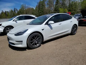 2021 Tesla Model 3 5YJ3E1EA8MF848625 Lot 53186466