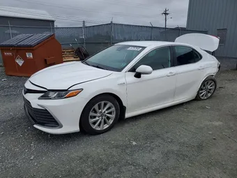 2021 Toyota Camry 4T1C31AK6MU565387 Lot 54757546