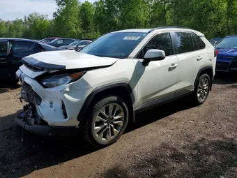 2019 Toyota RAV4 2T3R1RFV1KW025922 Lot 56352186