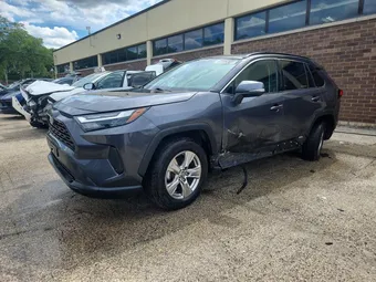 2023 Toyota RAV4 2T3MWRFV4PW171489 Lot 54483616