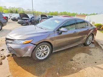 2019 Toyota Camry 4T1B21HK0KU522021 Lot 49271656