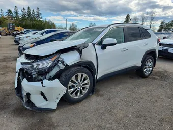2019 Toyota RAV4 2T3D1RFV6KW008804 Lot 52911476