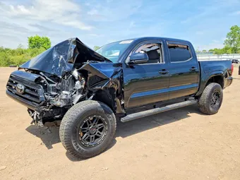 2020 Toyota Tacoma 3TMCZ5AN5LM348341 Lot 56669326