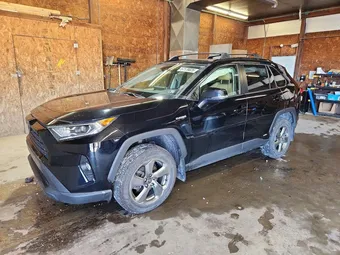 2021 Toyota RAV4 JTMB6RFV0MD009505 Lot 57179826