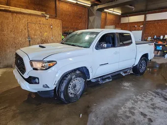 2023 Toyota Tacoma 3TMCZ5AN6PM546688 Lot 55708136