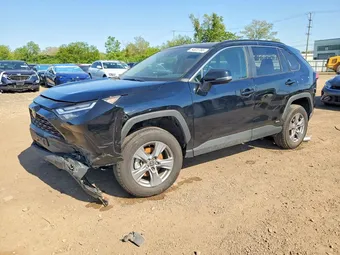2025 Toyota RAV4 4T3RWRFV4SU198285 Lot 54023766