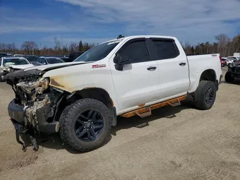 2020 Chevrolet Silverado 1500 1GCPYFED9LZ356212 Lot 79756315