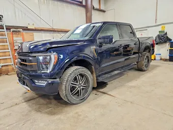 2023 Ford F-150 1FTEW1E81PFA96981 Lot 50368676