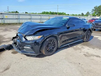 2017 Ford Mustang 1FA6P8AM3H5237303 Lot 50593046