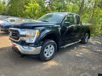 2021 Ford F-150 1FTEX1EB9MFB81846 Lot 56097876