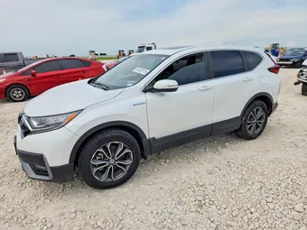 2021 Honda CR-V 7FART6H58ME013513 Lot 54822816