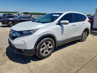 2019 Honda CR-V 7FARW1H81KE038531 Lot 53256386