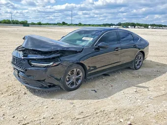 2023 Honda Accord 1HGCY1F38PA059493 Lot 53852296