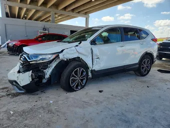 2020 Honda CR-V 5J6RW1H87LL008437 Lot 48474796