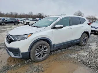 2020 Honda CR-V 2HKRW2H80LH619667 Lot 96834895