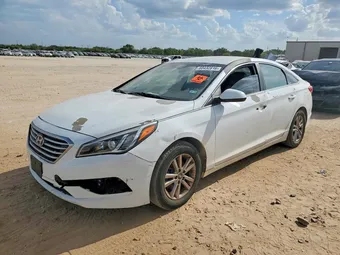 2016 Hyundai Sonata 5NPE24AF2GH386301 Lot 60432816