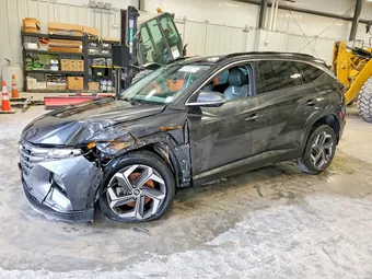 2023 Hyundai Tucson 5NMJE3AE6PH226152 Lot 46564986