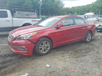 2015 Hyundai Sonata 5NPE24AF9FH143499 Lot 59870196