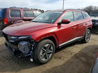 2025 Hyundai Tucson 5NMJBCDE3SH509802 Lot 47618726